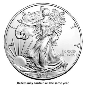 1 oz American Silver Eagle Coin (Random Year) 1